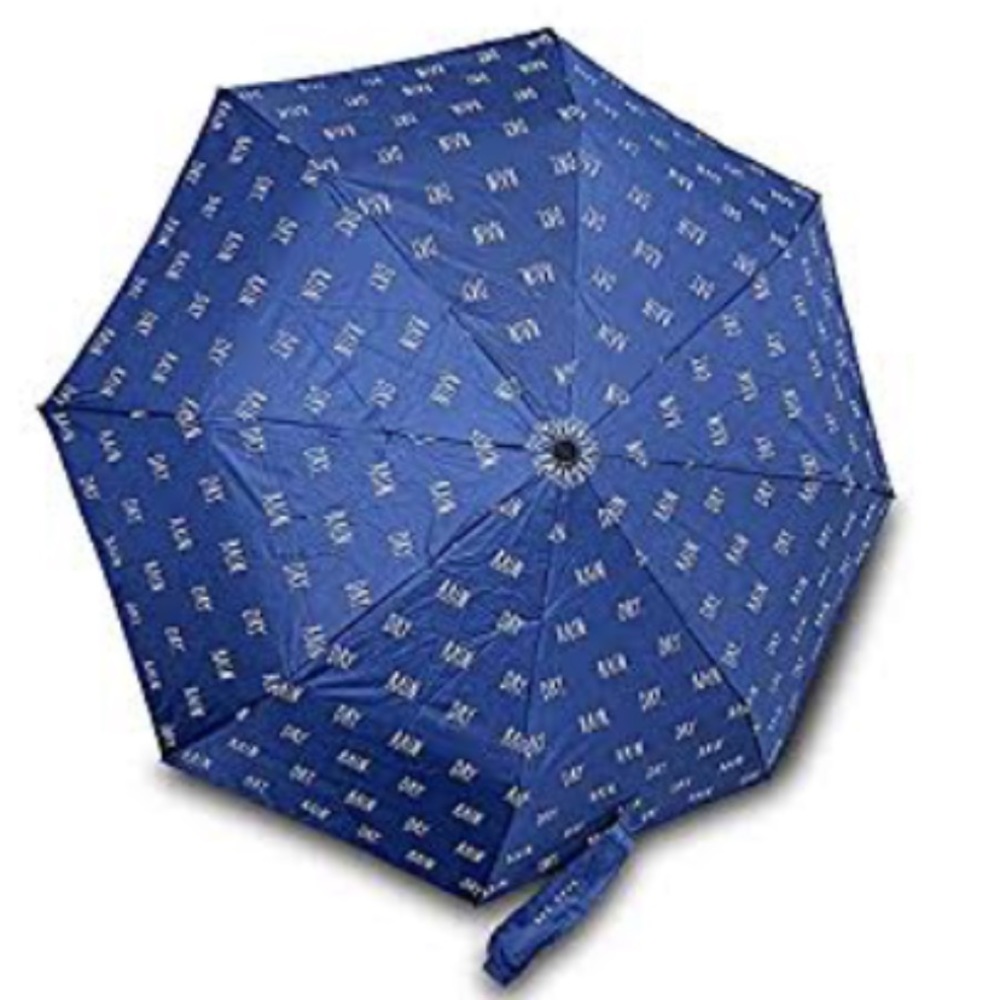 ❤️❤️ Rae Dunn Blue/White Auto Open & Close Travel Umbrella NEW❤️❤️